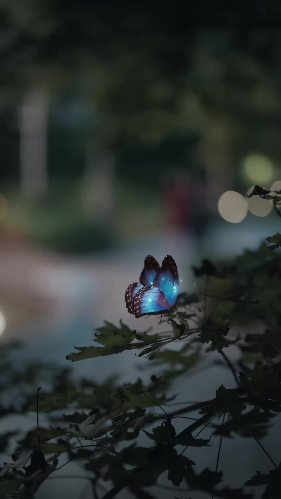 玫瑰灼情 第1集