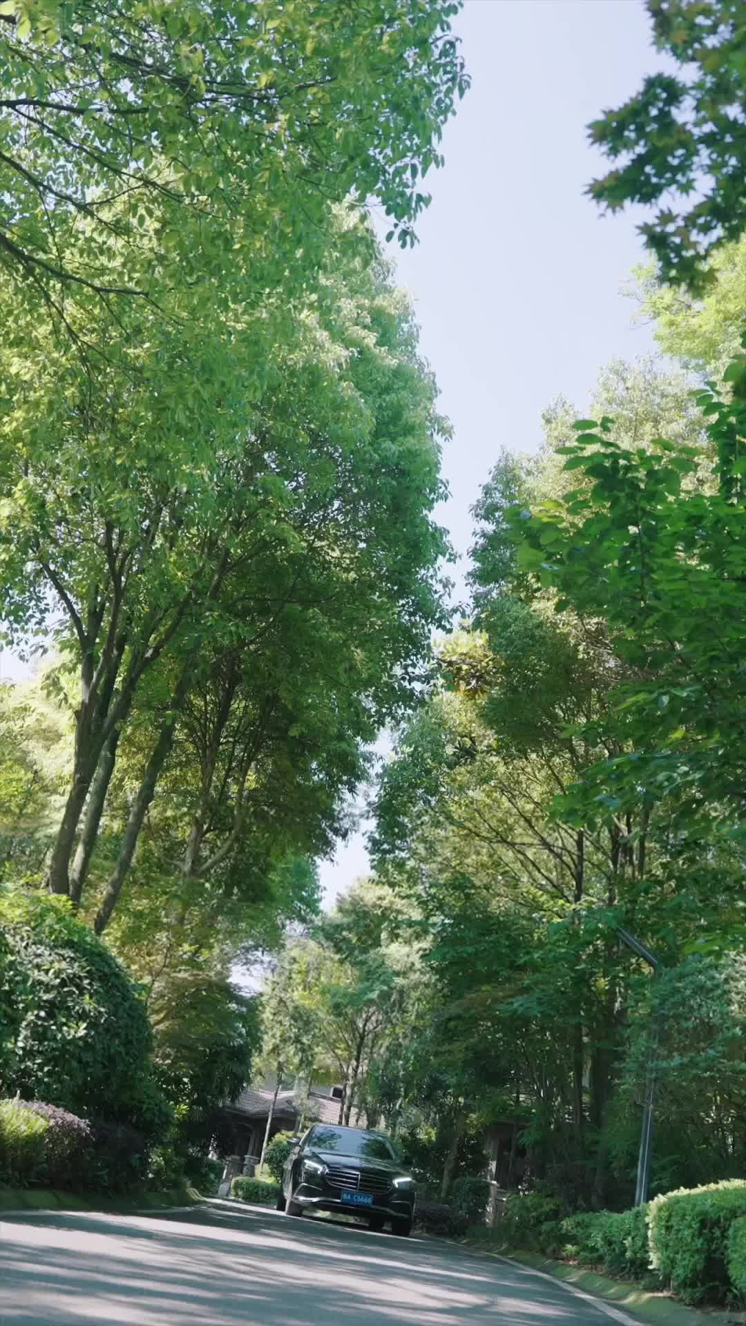 我是首富真千金，也是墨少未婚妻 第2集