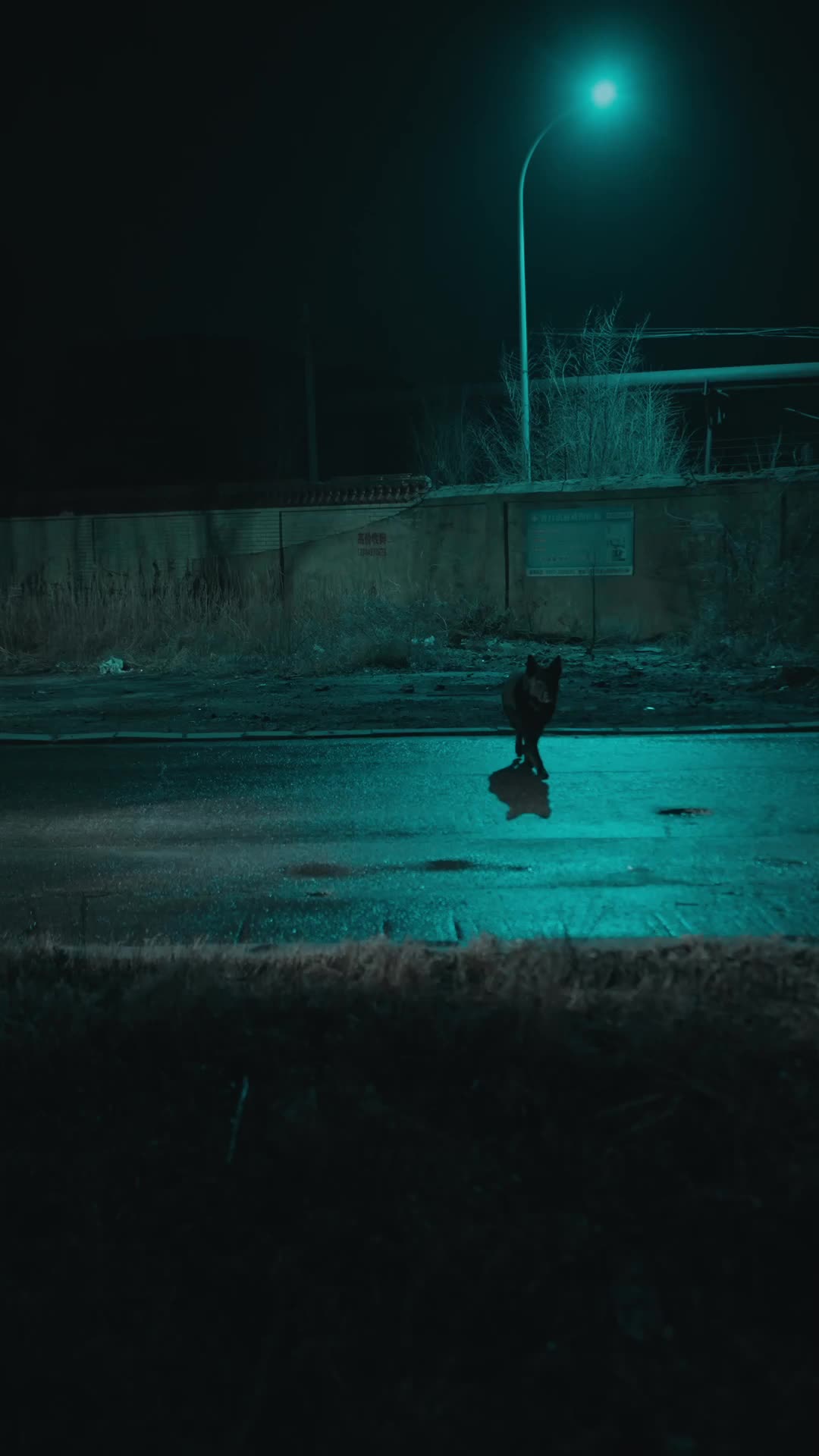 The Midnight Bus: Three Rules to Survive Episode 7