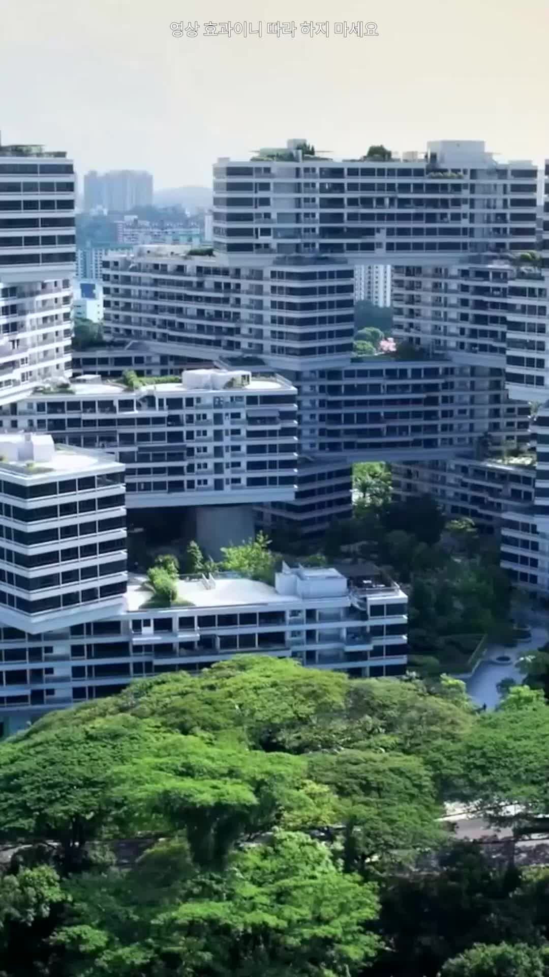 도심의 포식자 제9회