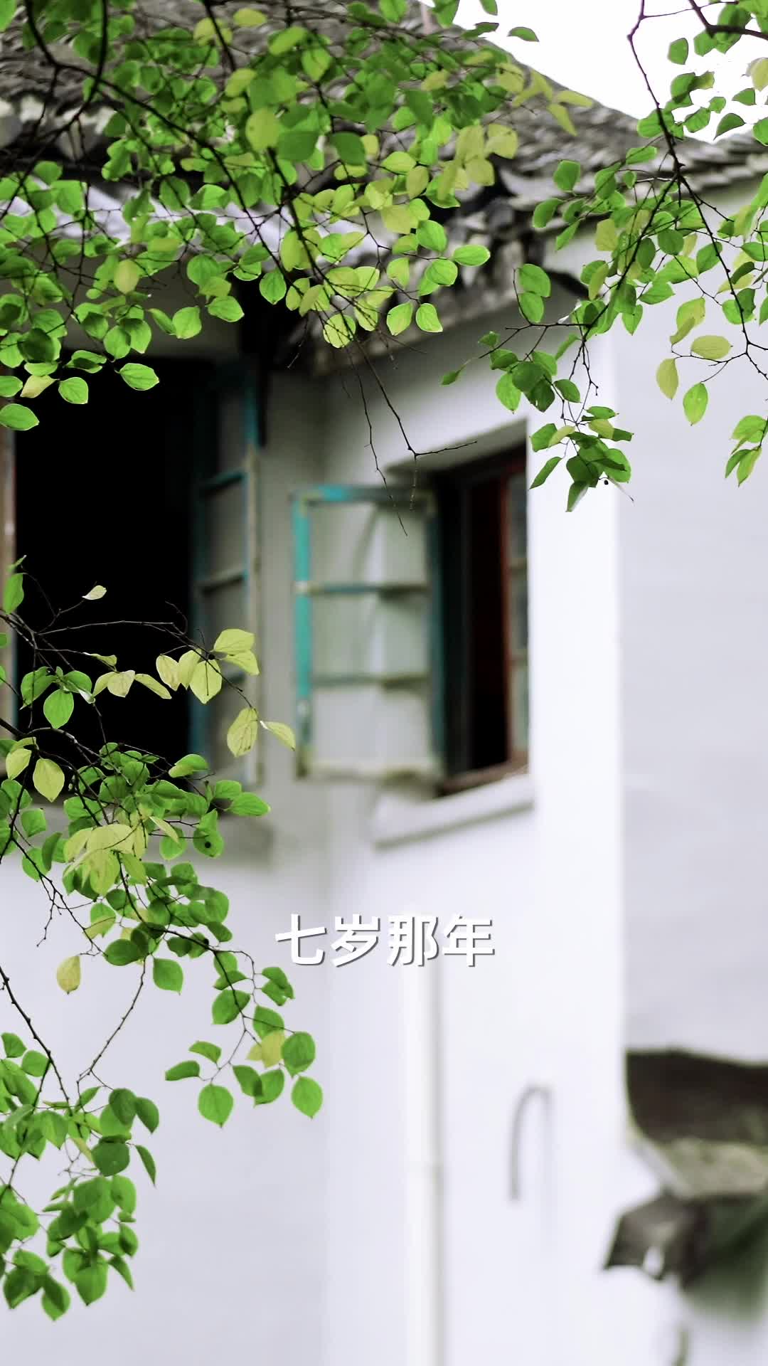 玫瑰娇藏 第1集