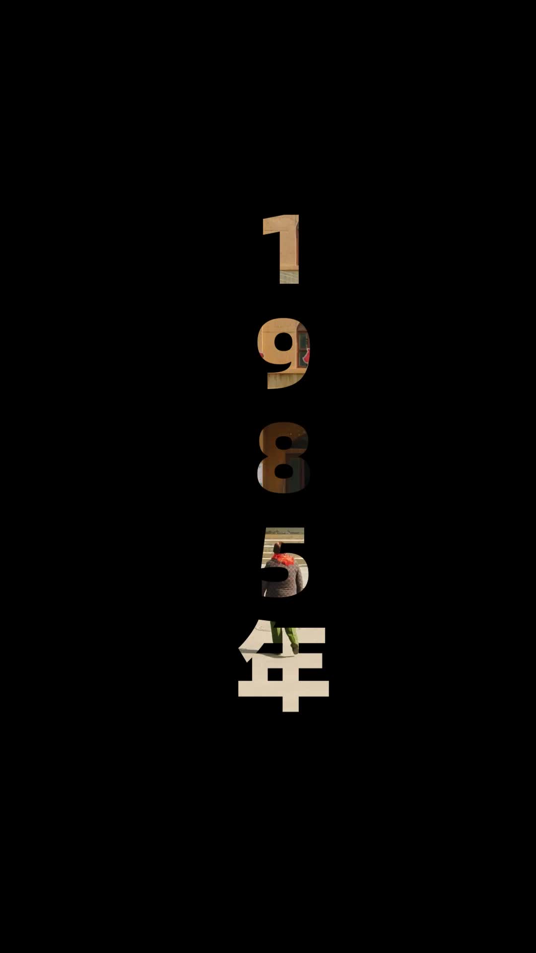 八零年代:前夫别追了 第2集