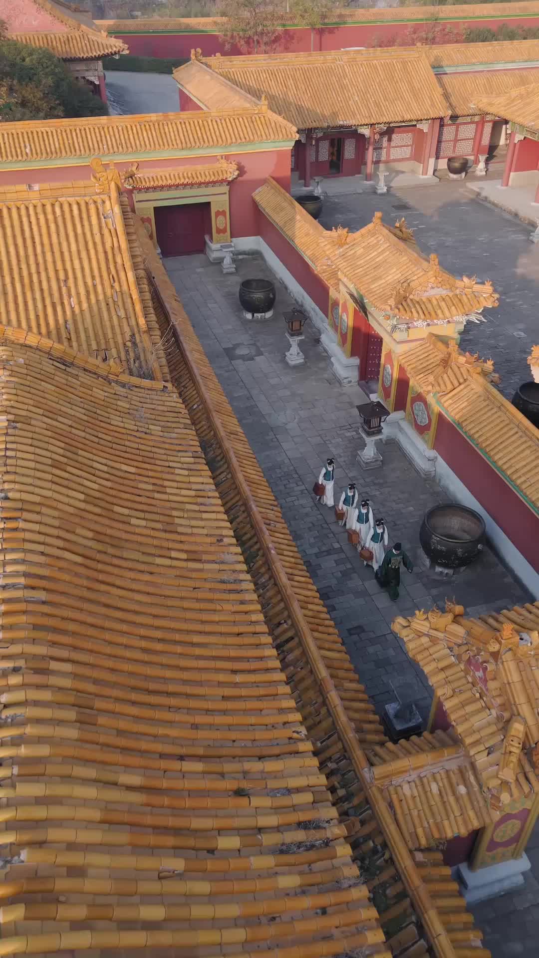 毒妃 第1集