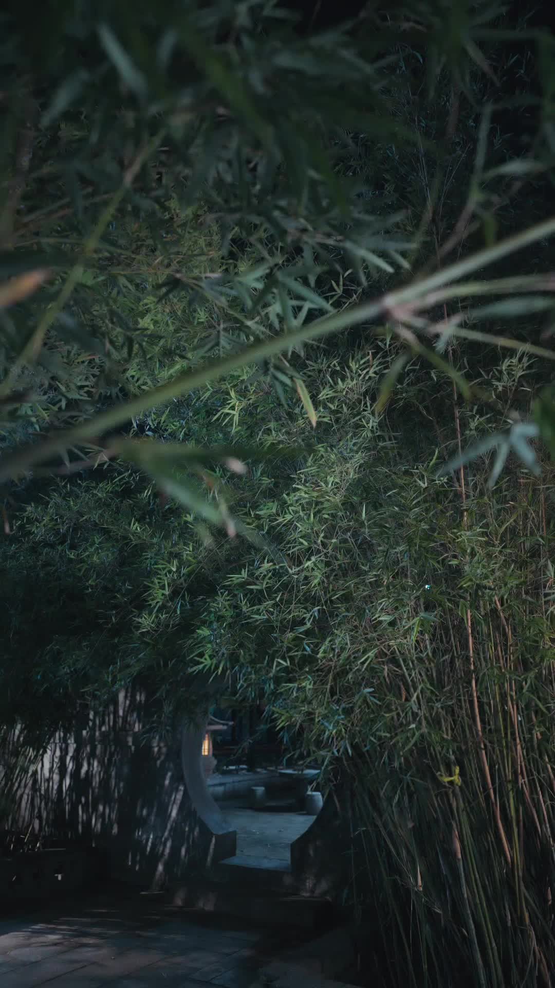 Episode 56