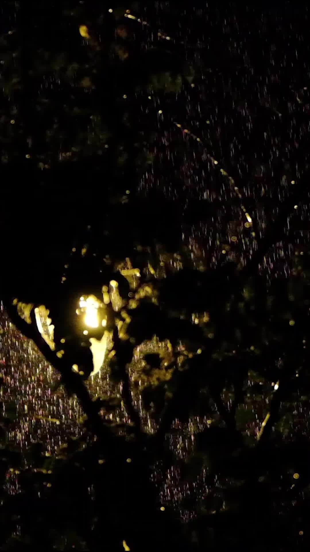 Ep 1