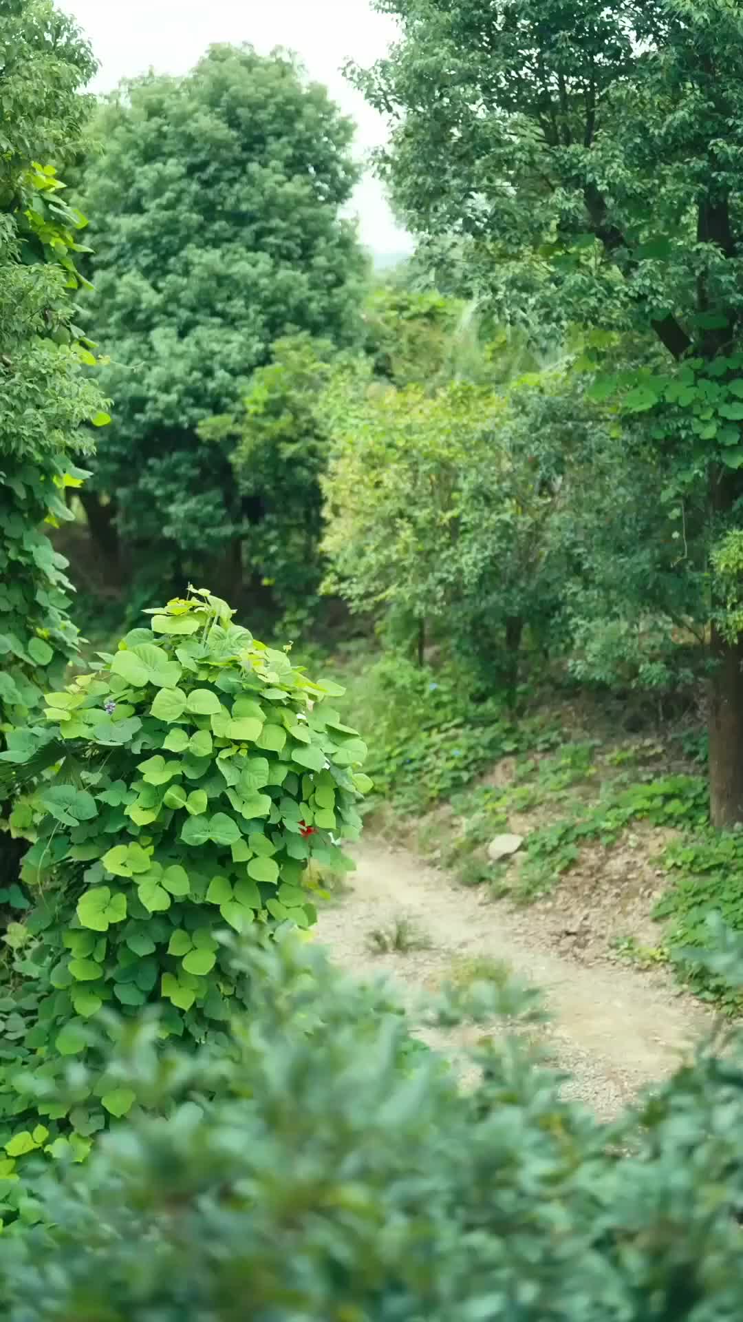 Ep 29
