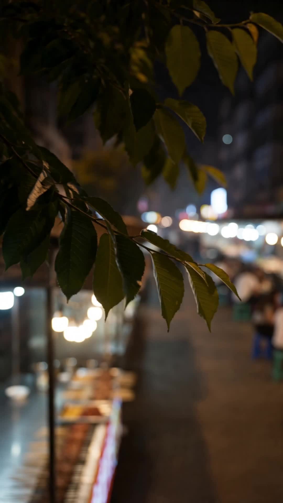 这一世,我拯救妻女 第6集