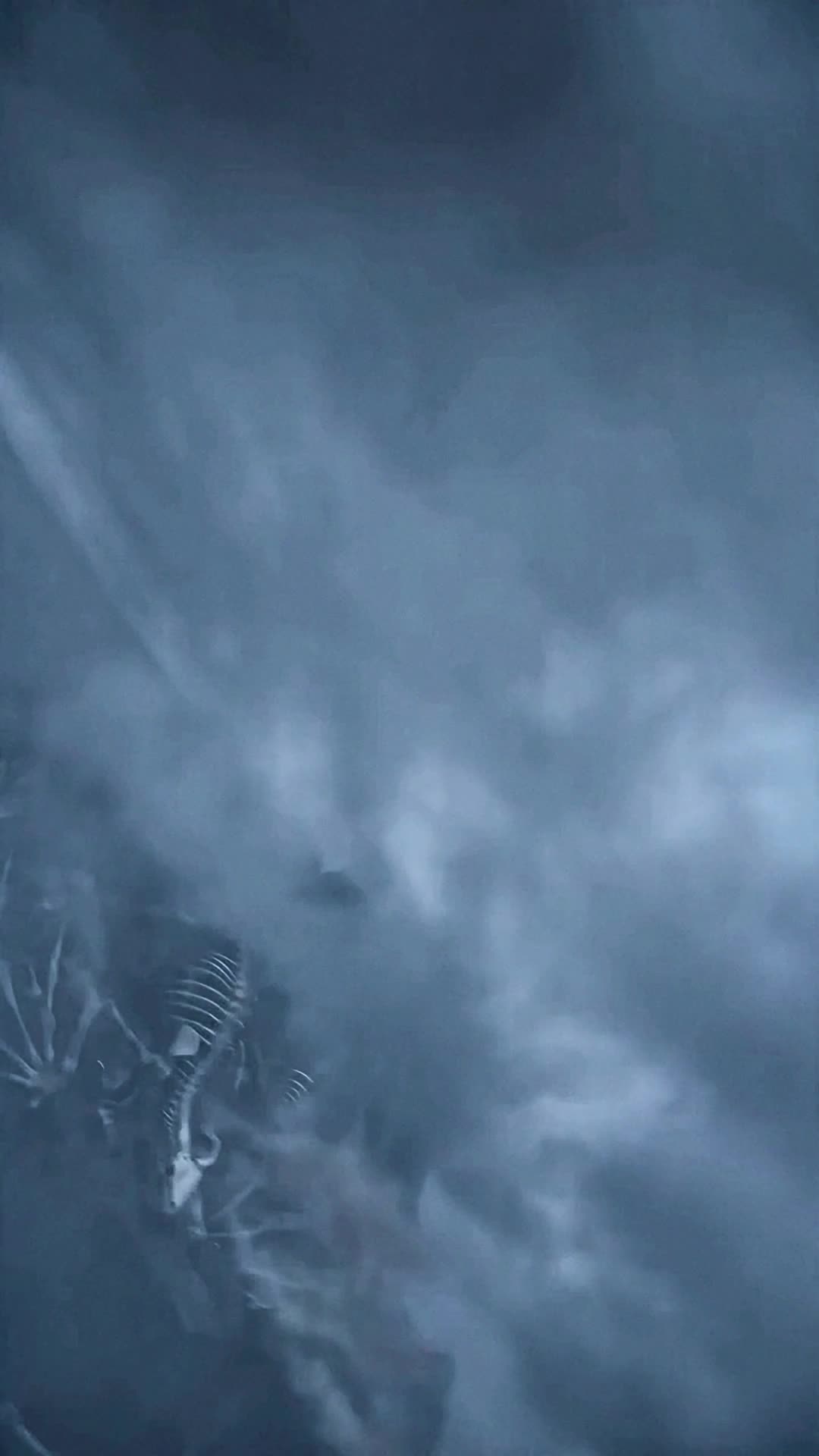Ten Thousand Dragons Kneel Before Him Episode 1