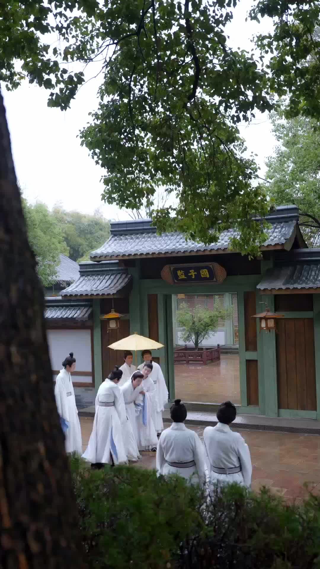 岁岁春欢 第10集