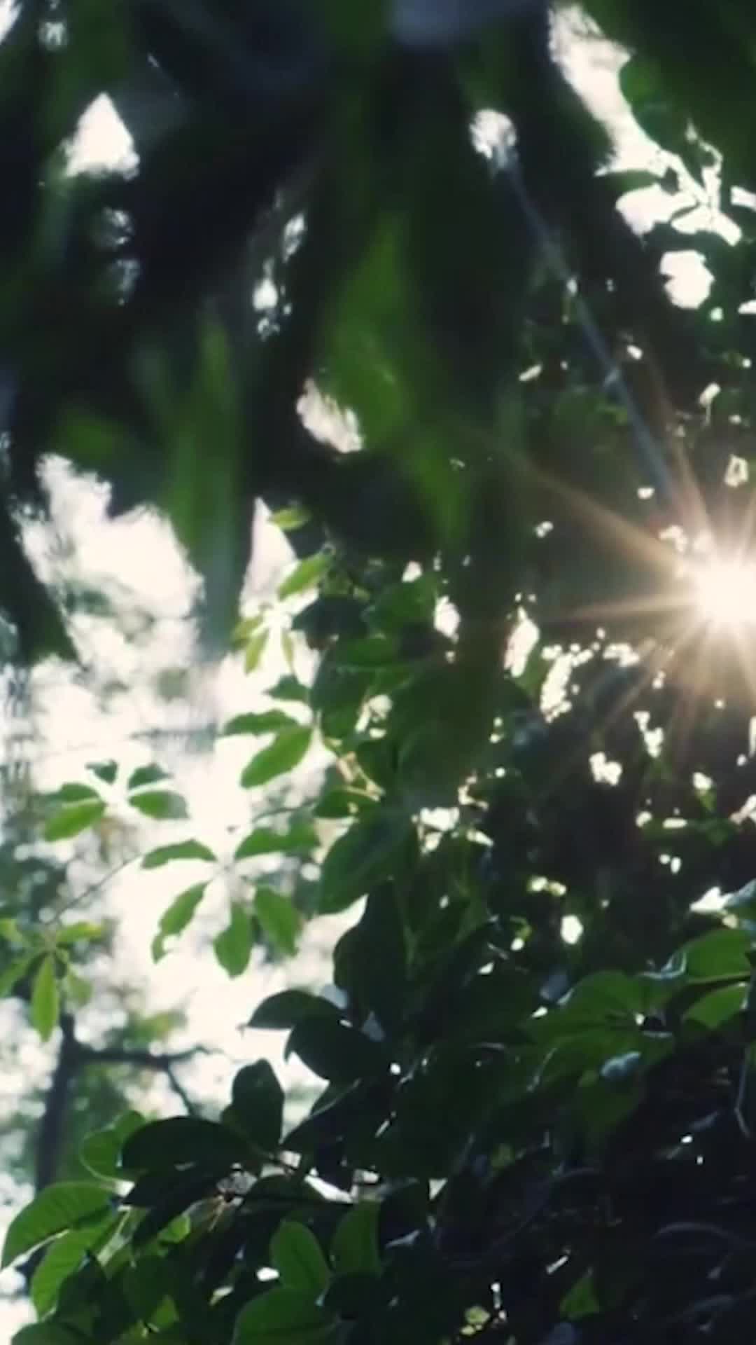 Istri Cantik Kesayangan Militer Episode 2