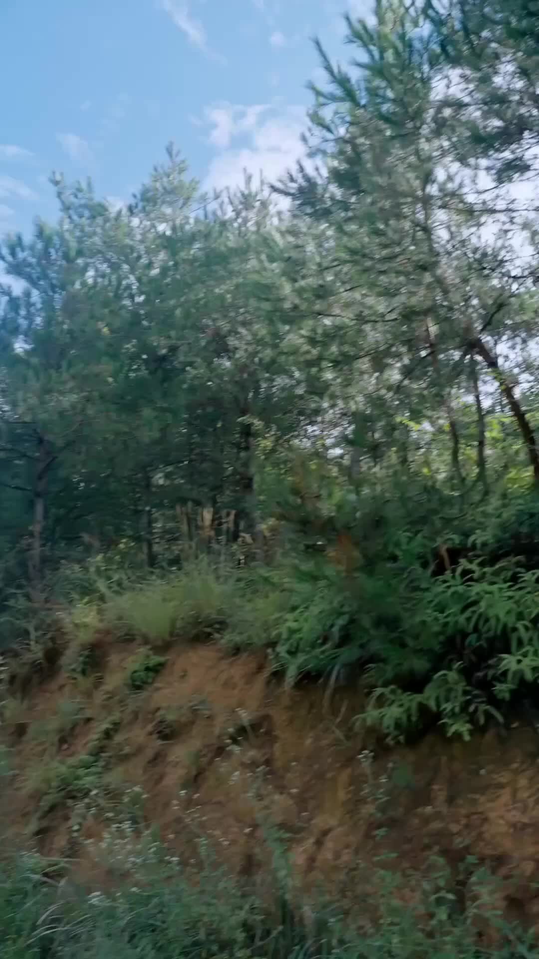 Ep 22