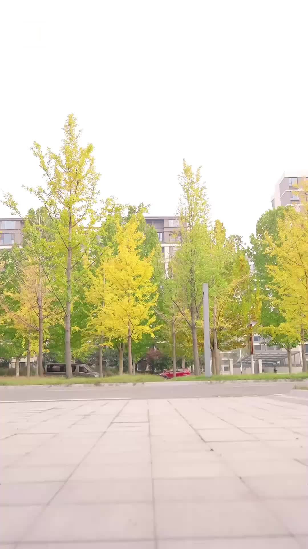 내 남편은 천재 도사 제1회