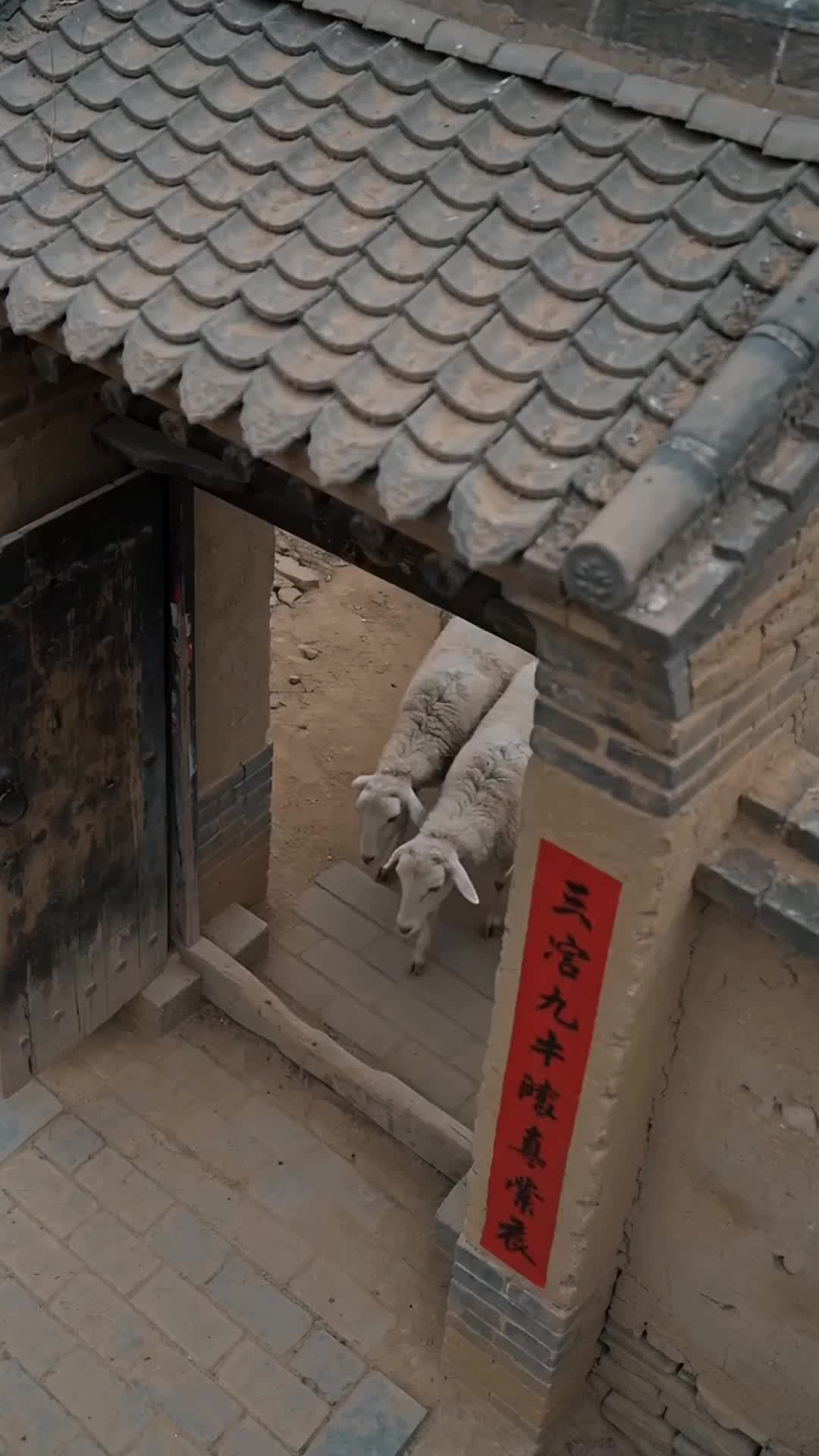嫁傻又何妨 第4集