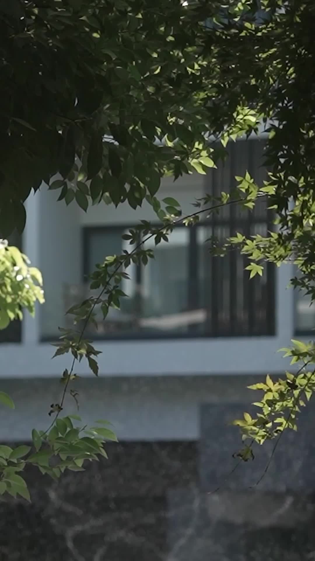 Ep 13