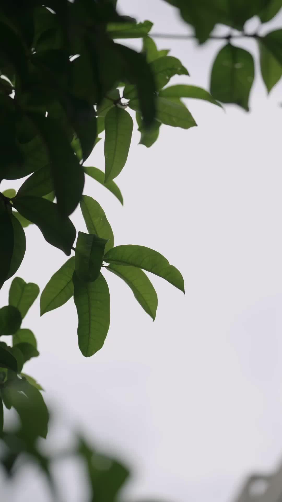 Ep 4