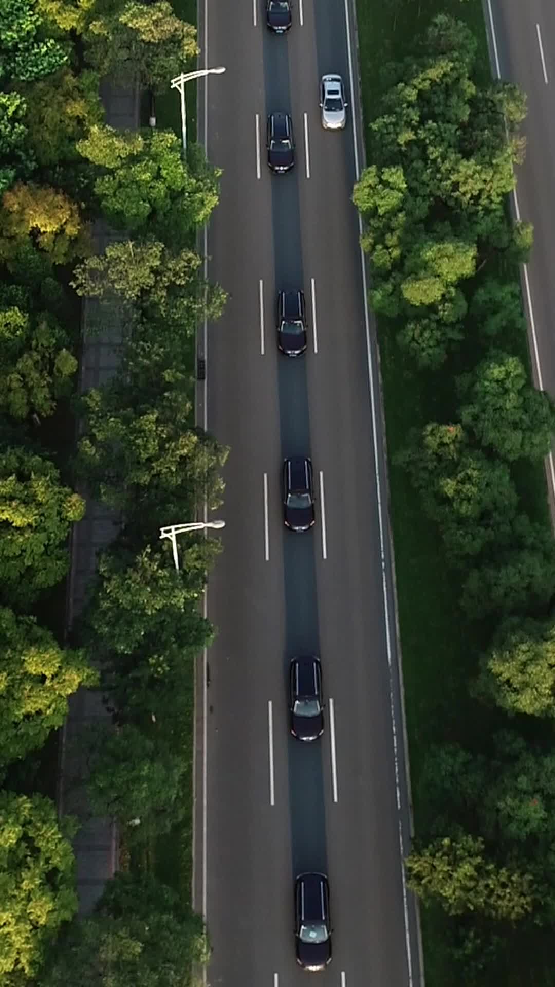 现代爱情故事 第9集