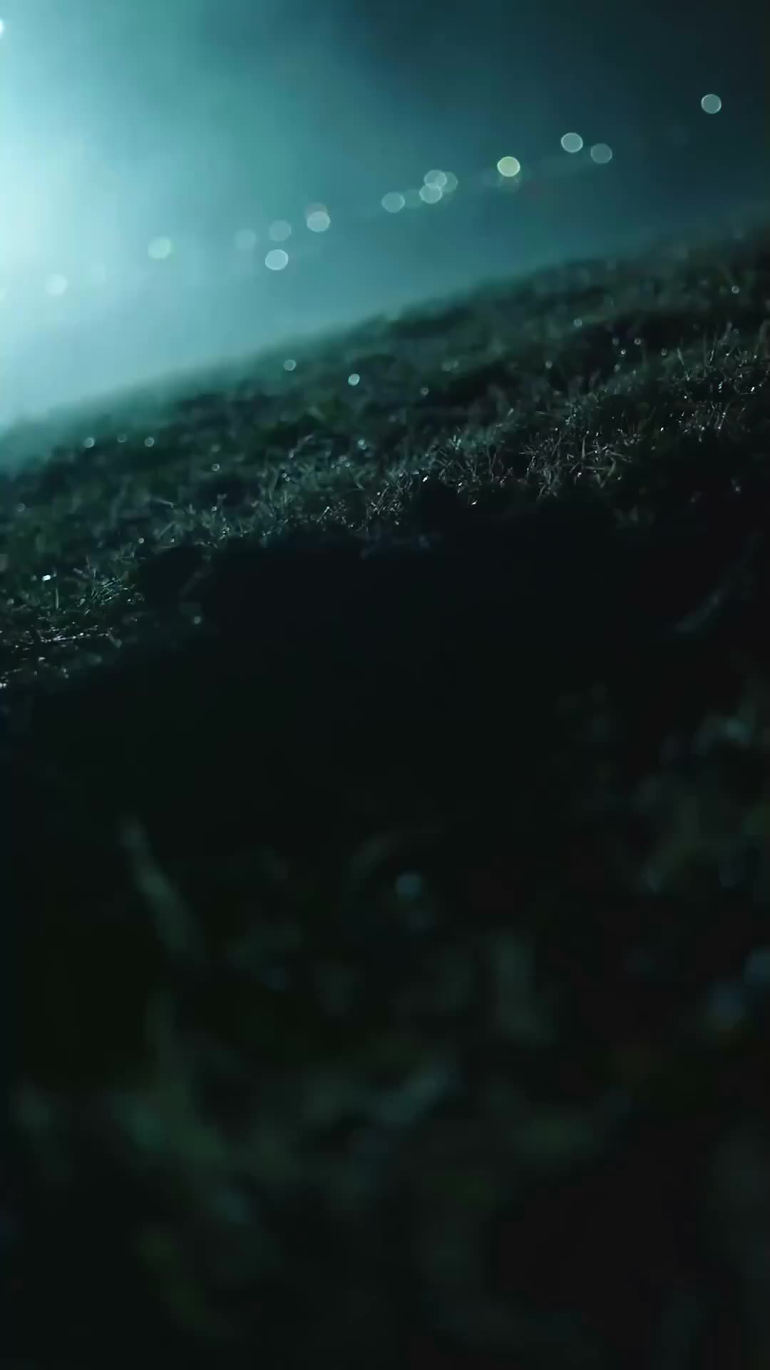 星光相伴知我意 第3集