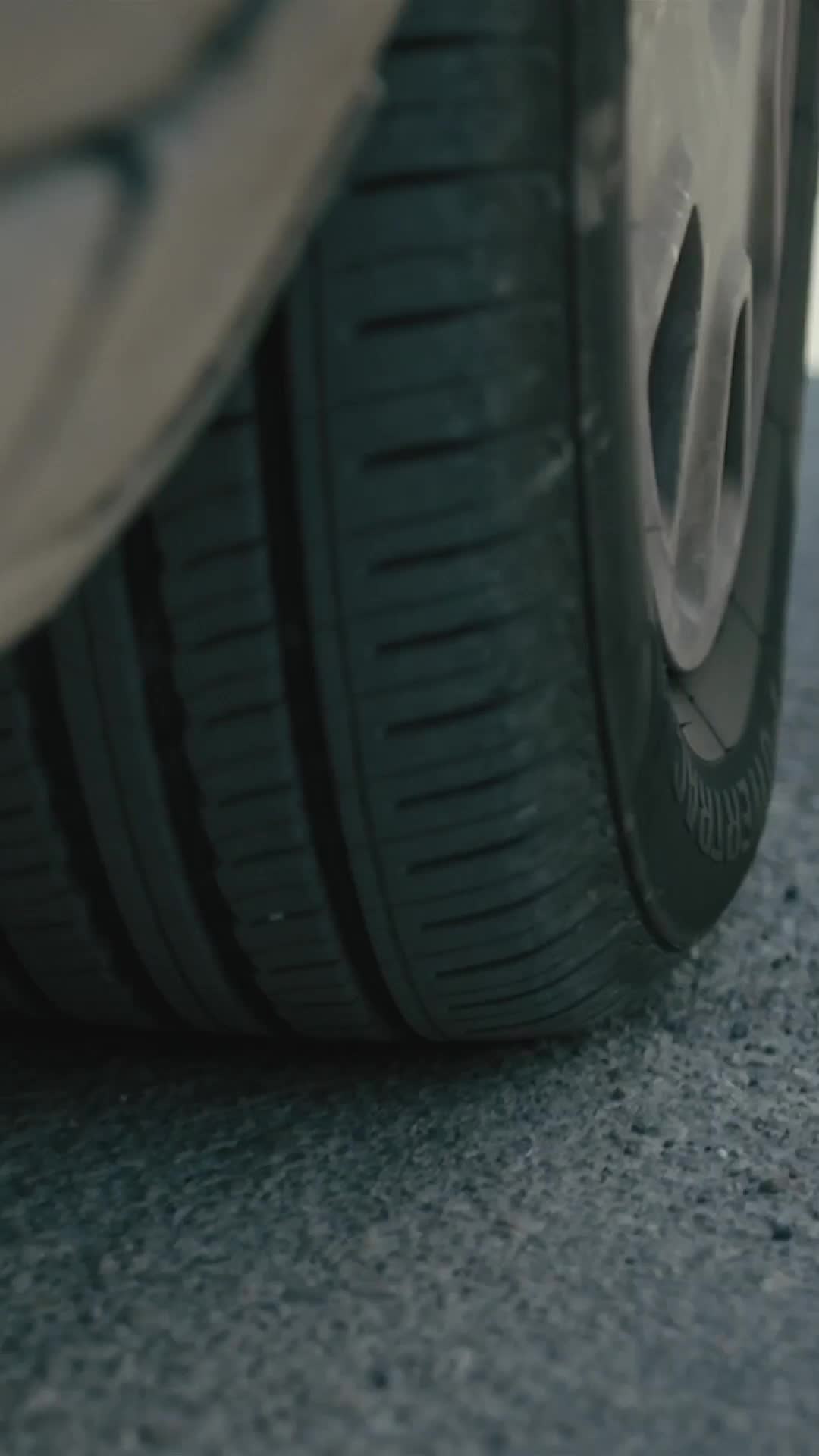 Pangeran Tidur, Ayo Kawin! - Episode 1 - Episode 1