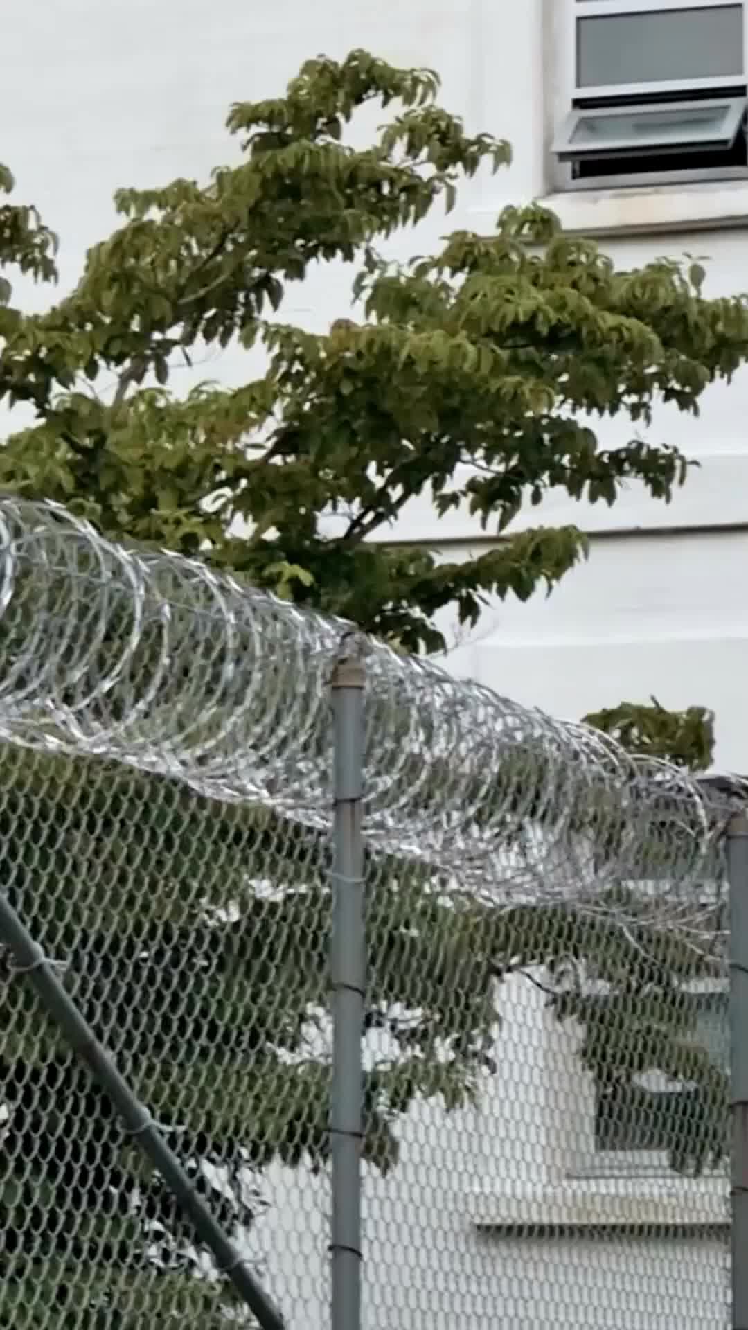 Ep 50