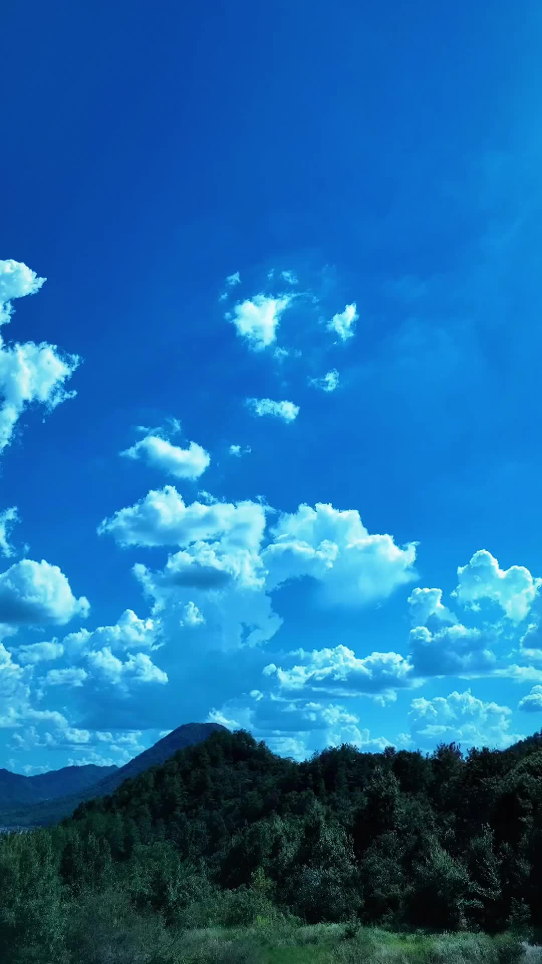 沉睡萬年，醒來宗門要沒了 第5集
