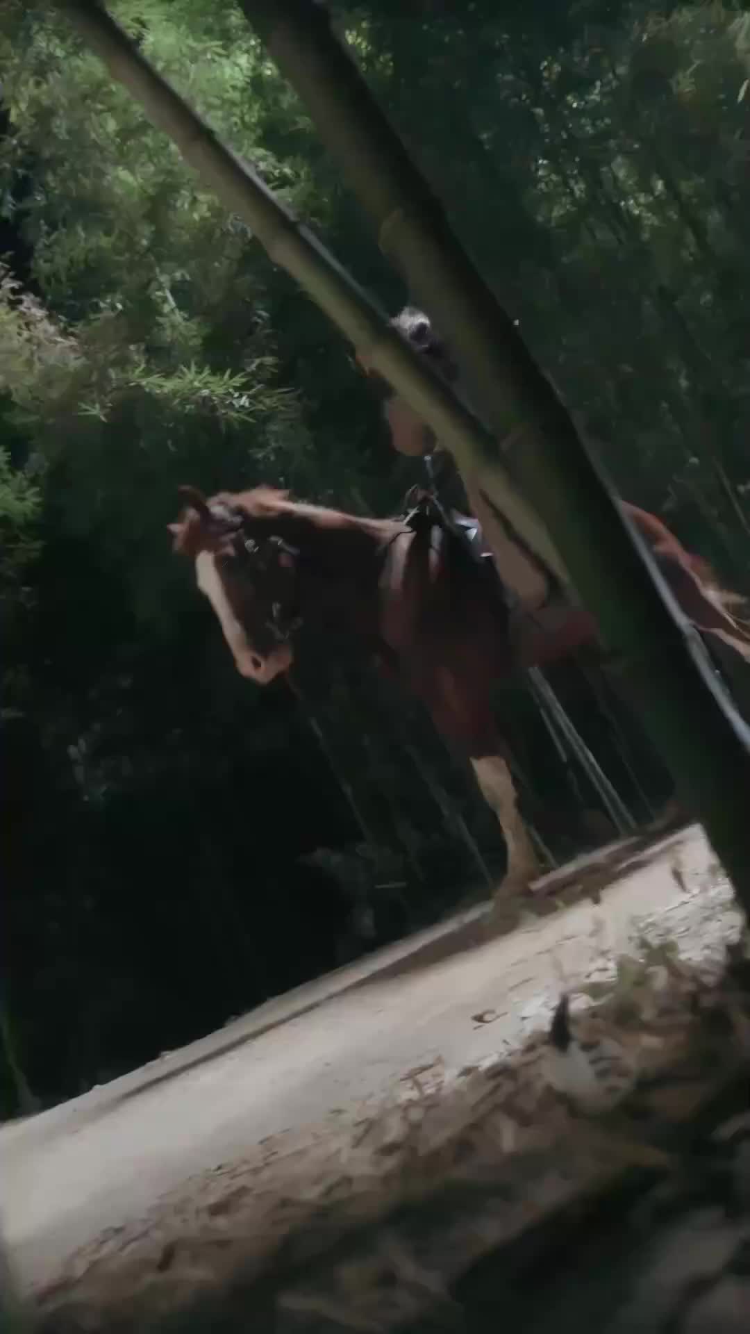 Ep 18