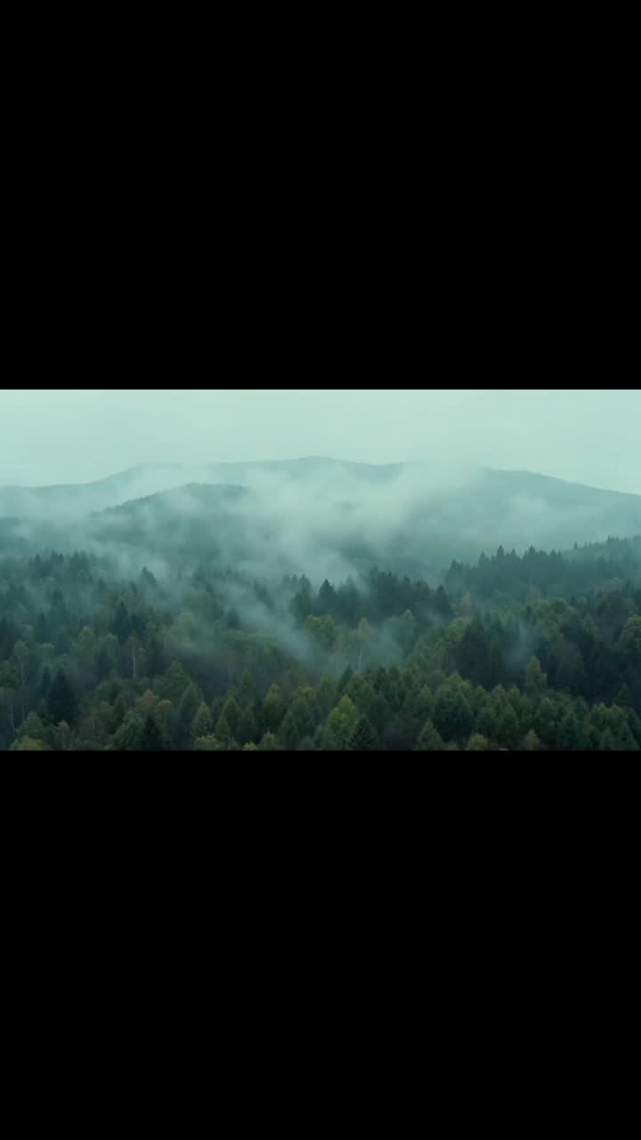 秦嶺青銅詭事錄 第1集