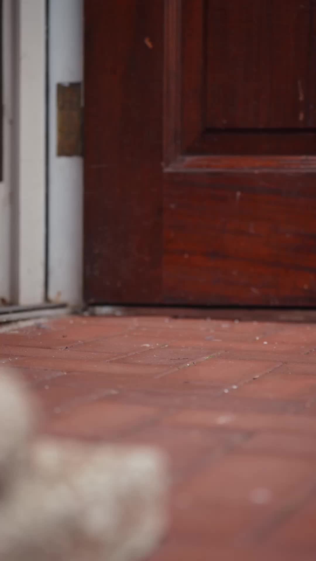 Papai Bilionário, Salve a Mamãe CEO! 5Episódio
