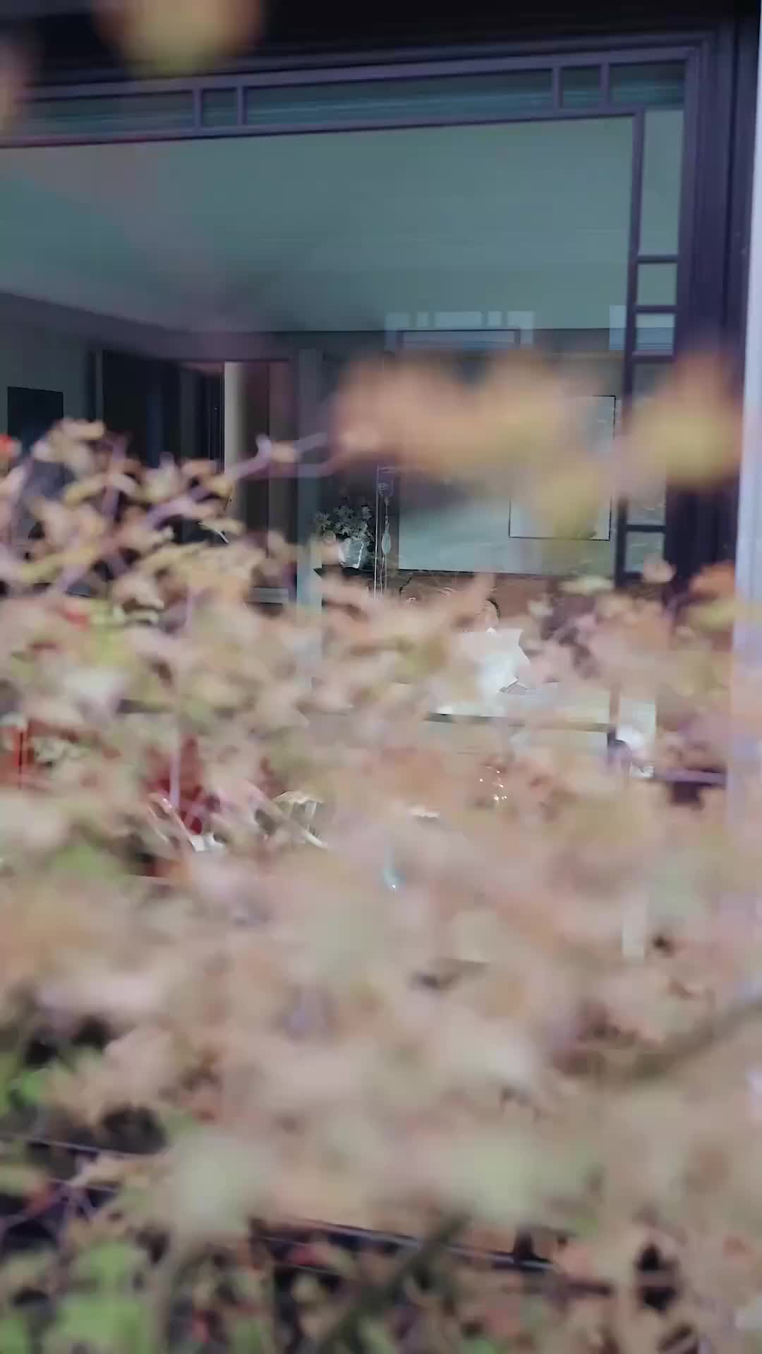 隱世龍婿 第1集