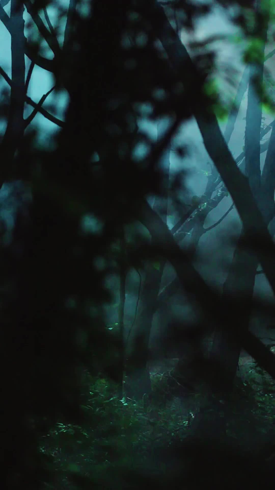 Ep 1