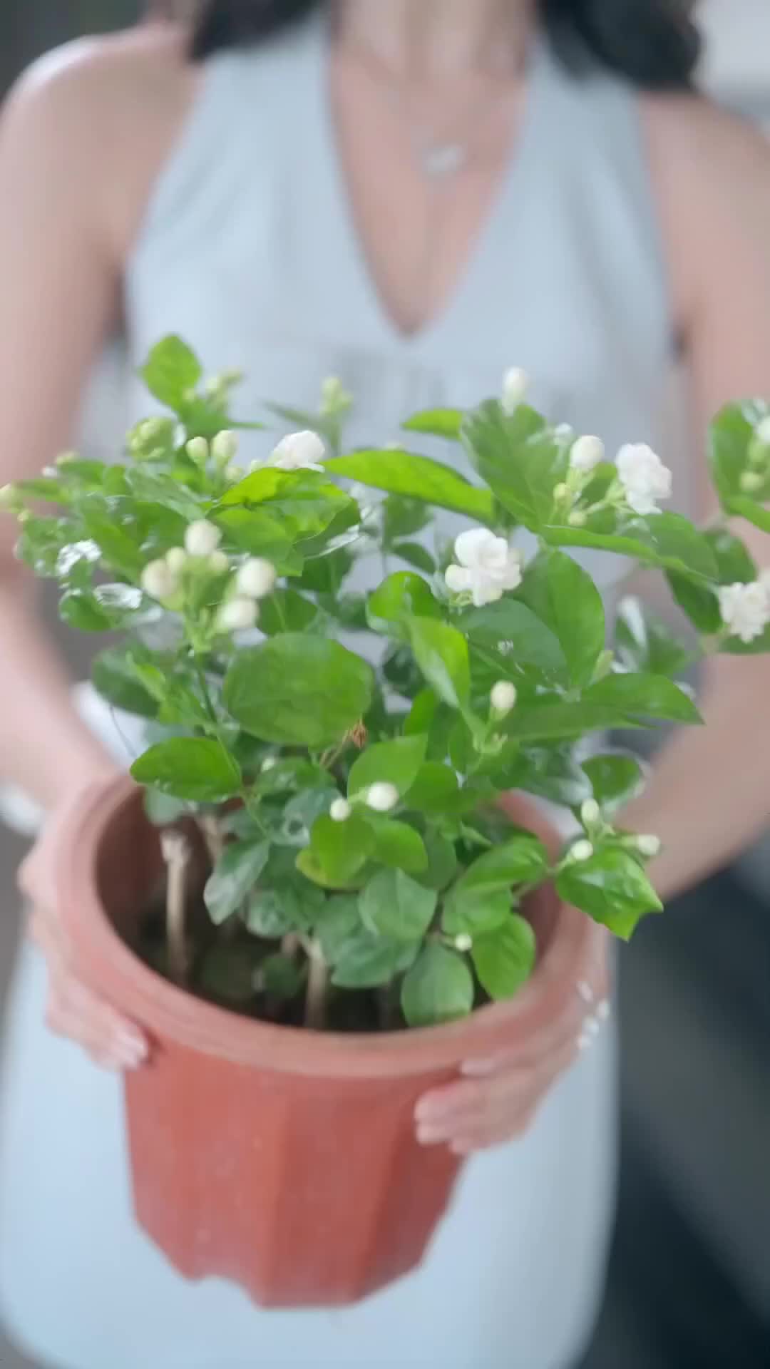 Pernah Tunggu Indahnya Cinta - Episode 34 - Episode 34