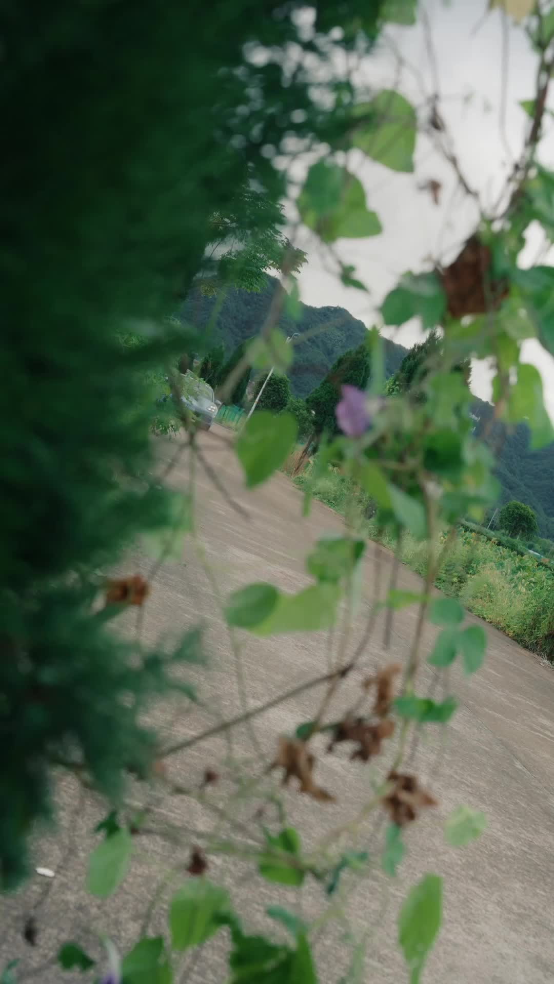 Menantu Juga Seperti Anak Sendiri Episode 11