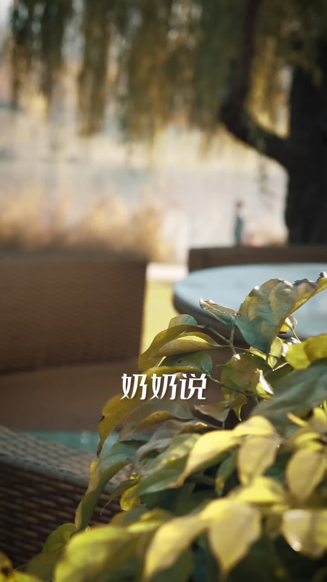 独具明眸 第1集