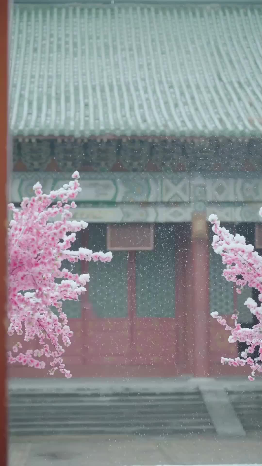 Ep 37