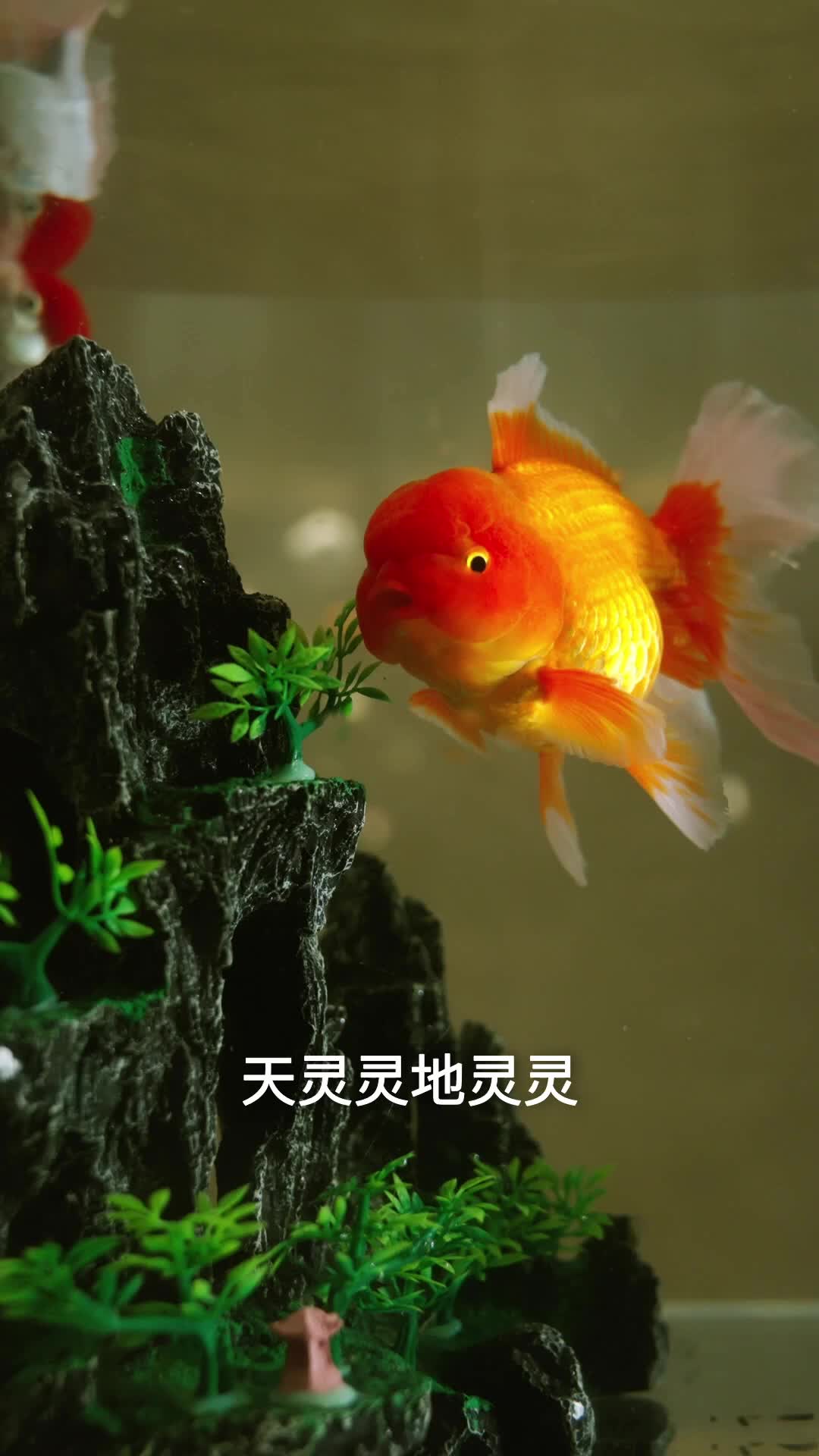 他来时海风很甜 第7集