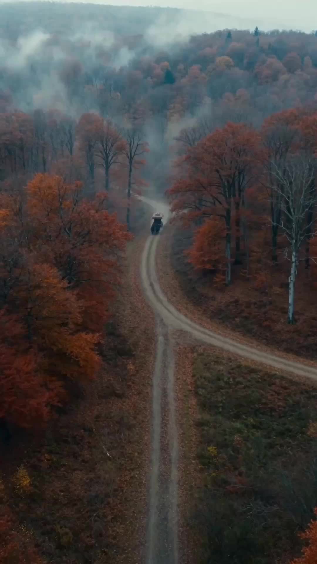 Ep 2