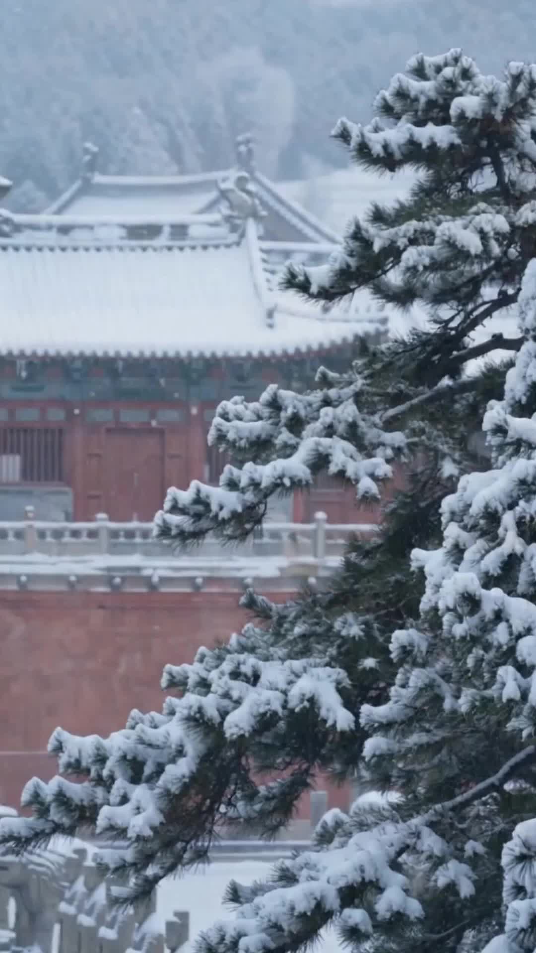 Ep 46