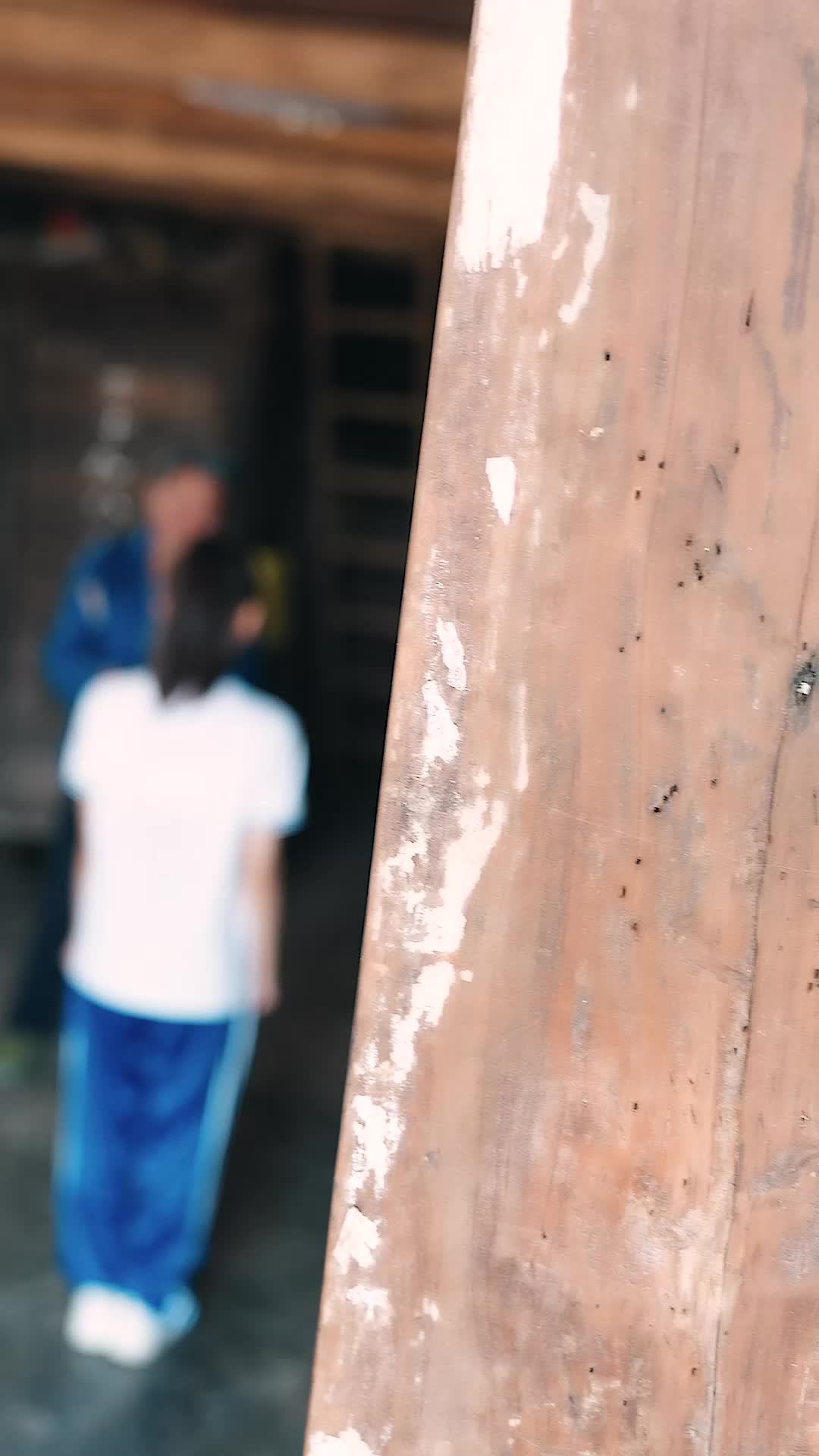 小花和爷爷 第6集