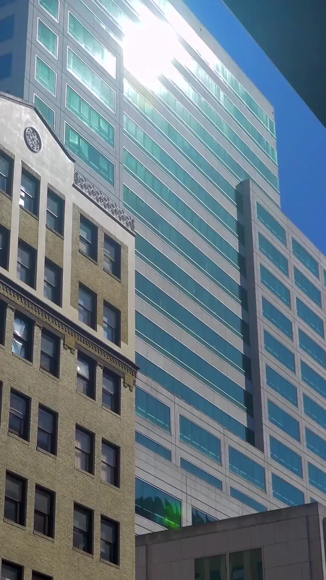 Jefe, tu Secretaria Ejecutiva Dimitió Episodio 2