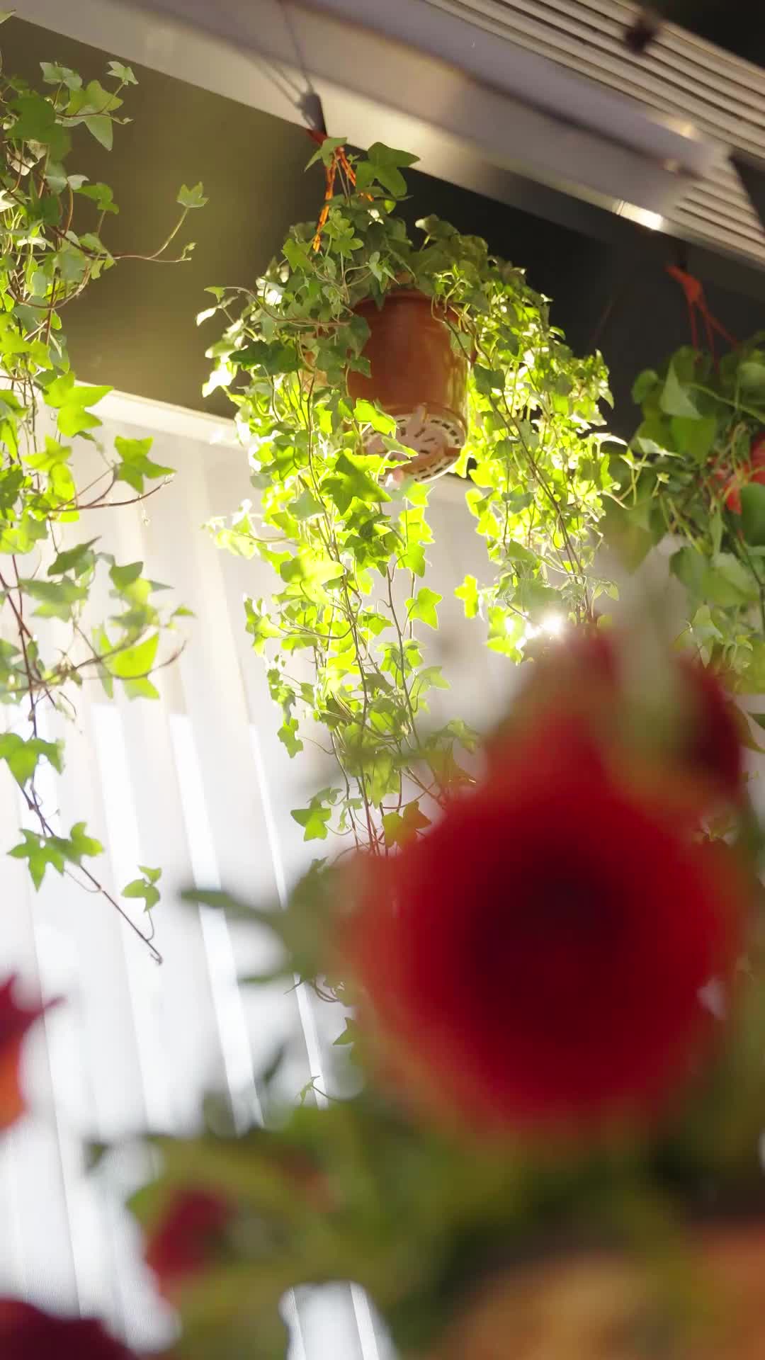 她走时,带走所有晴天 第1集