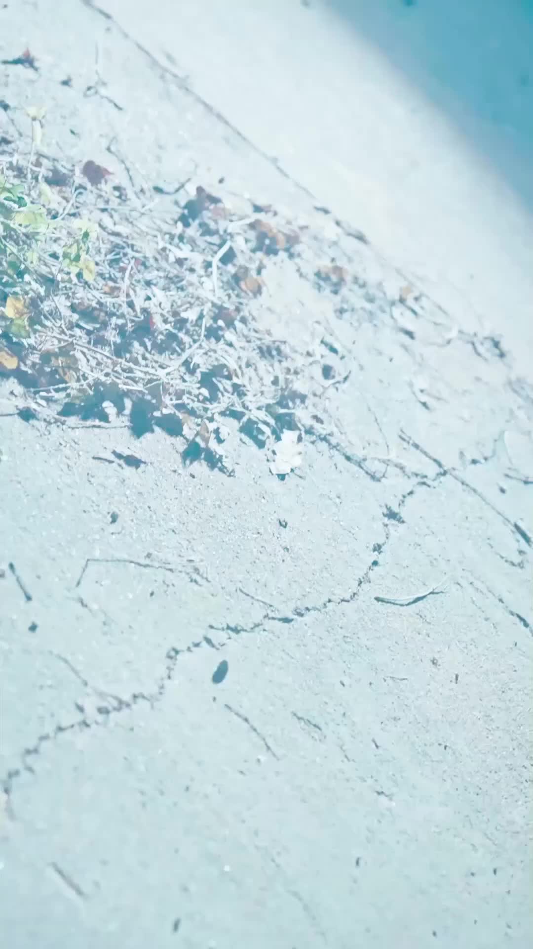Ep 38