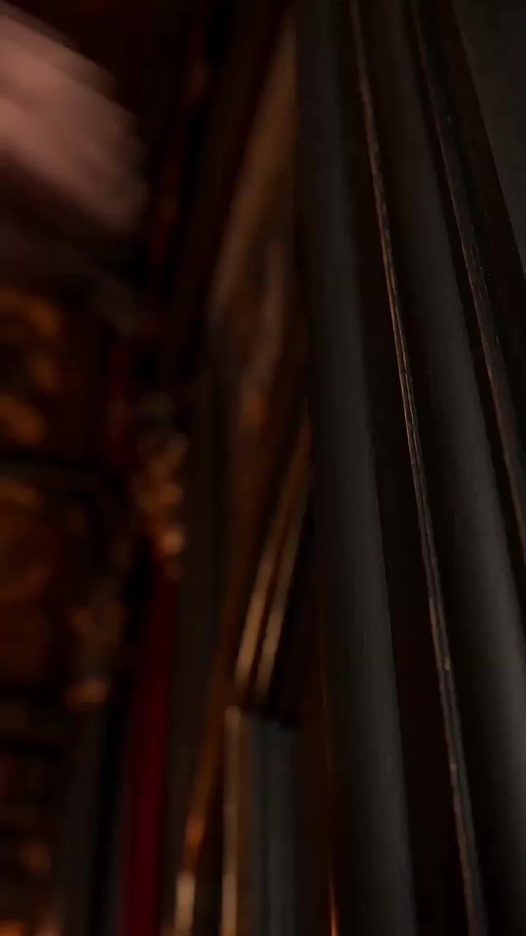 Academia dos Lobos: O Desejo Proibido (Dublado) 8Episódio