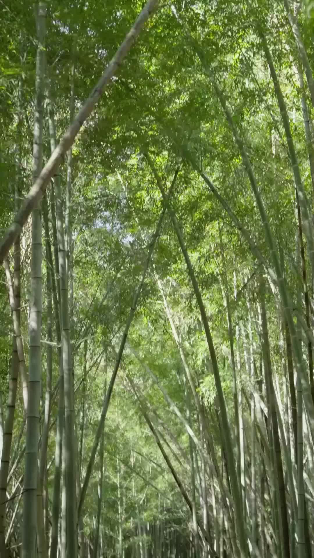 Ep 32