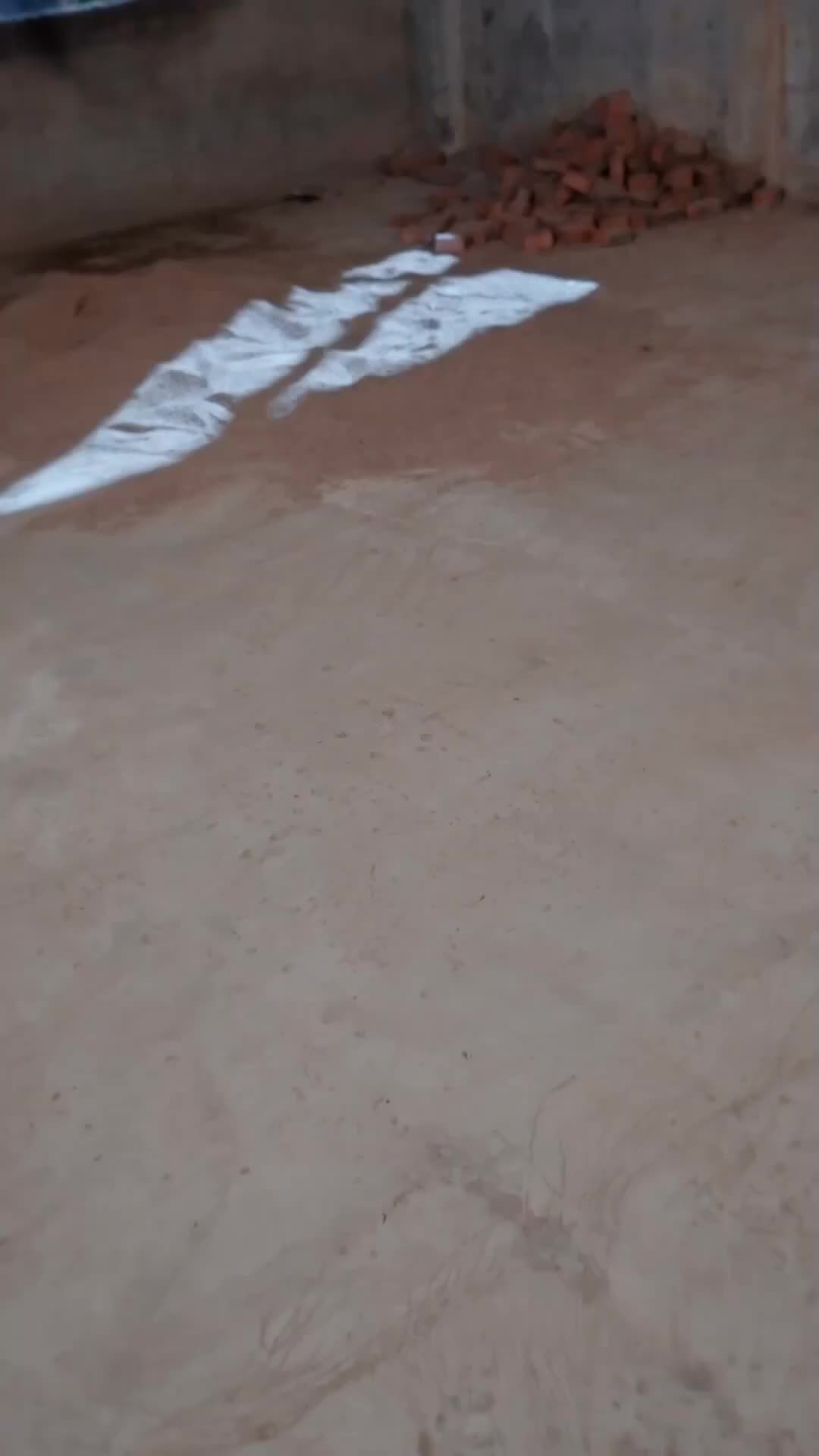A Rainha Escura Só Se Entrega a Você 1Episódio
