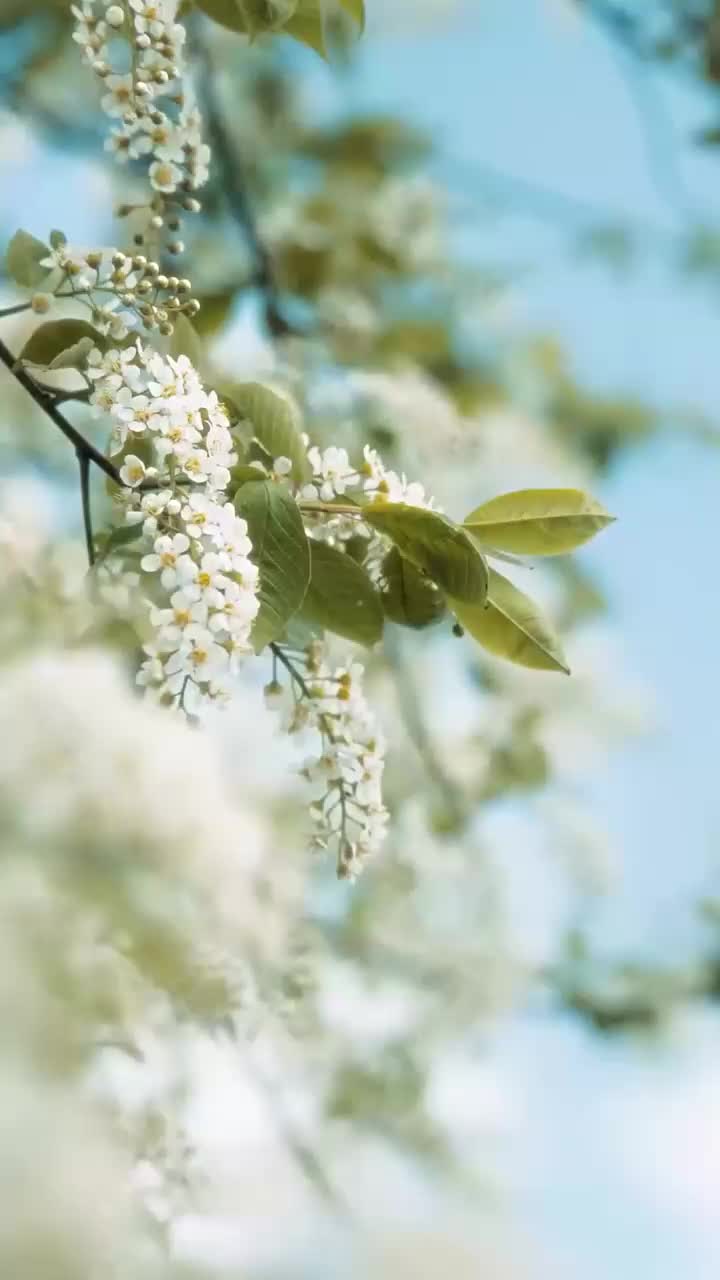 나의 X 프렌드 제3회