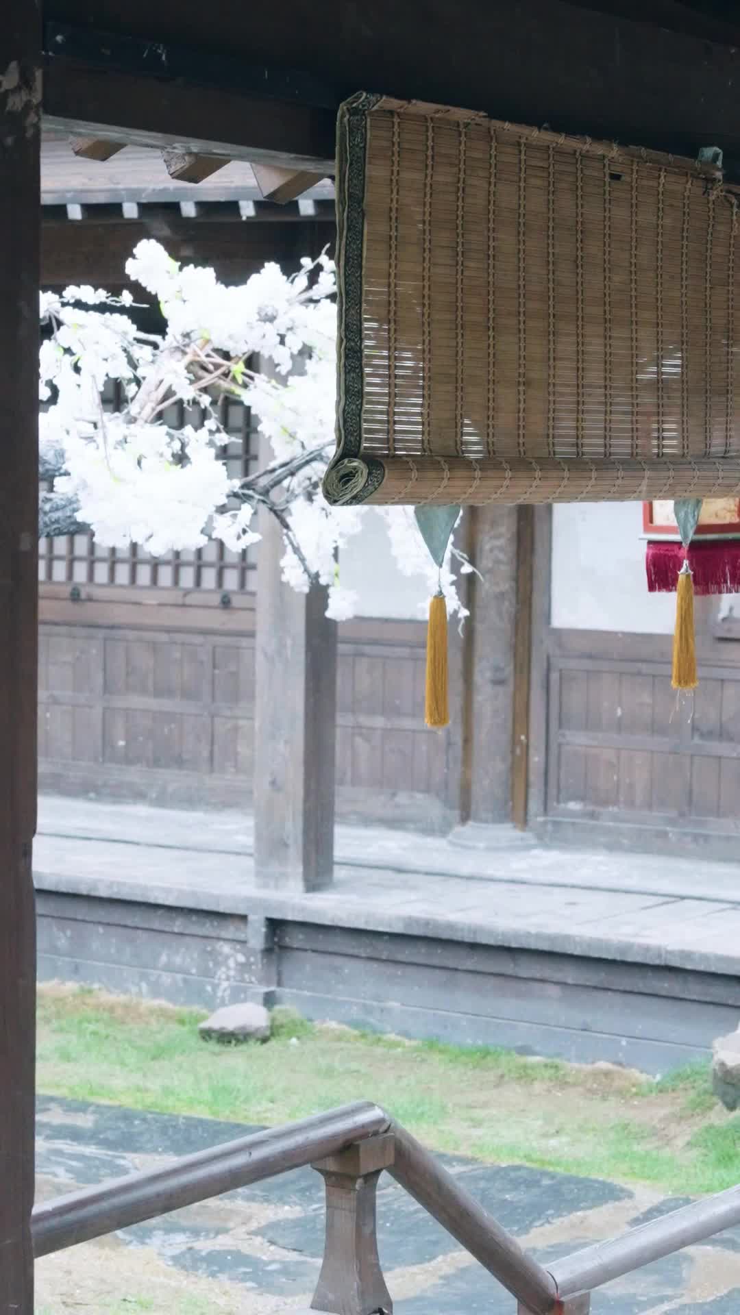 Ep 21