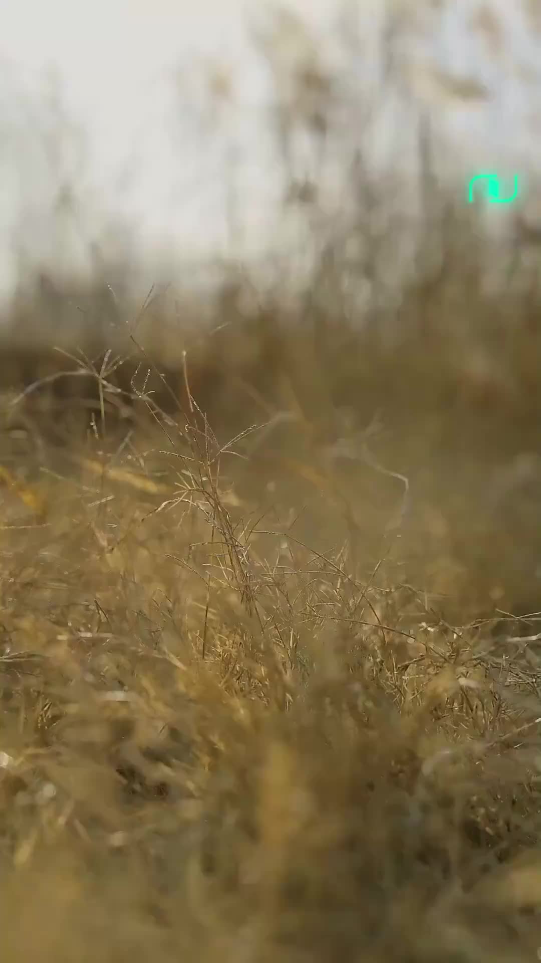 Ep 6