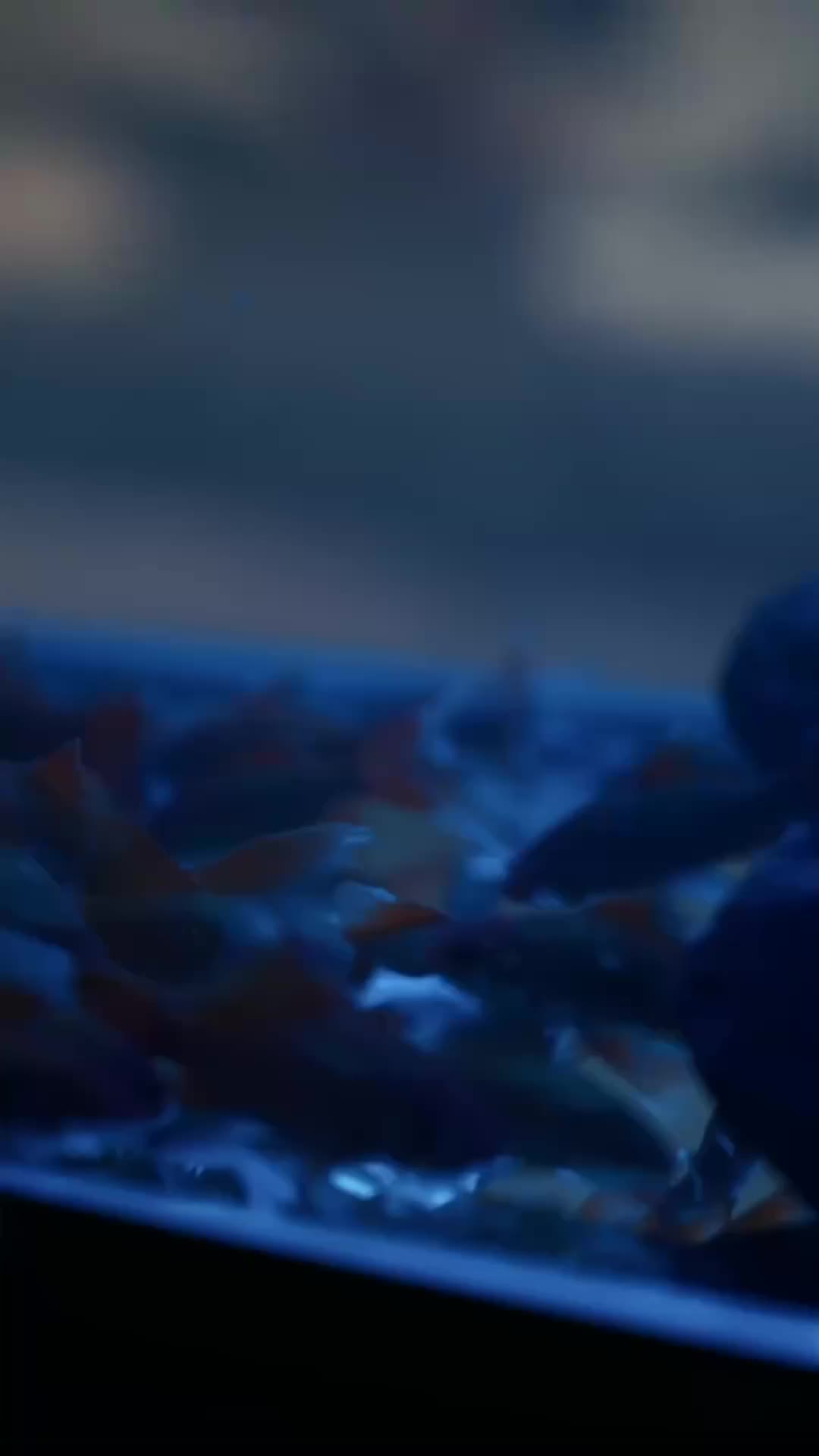 無人渡我 第1集