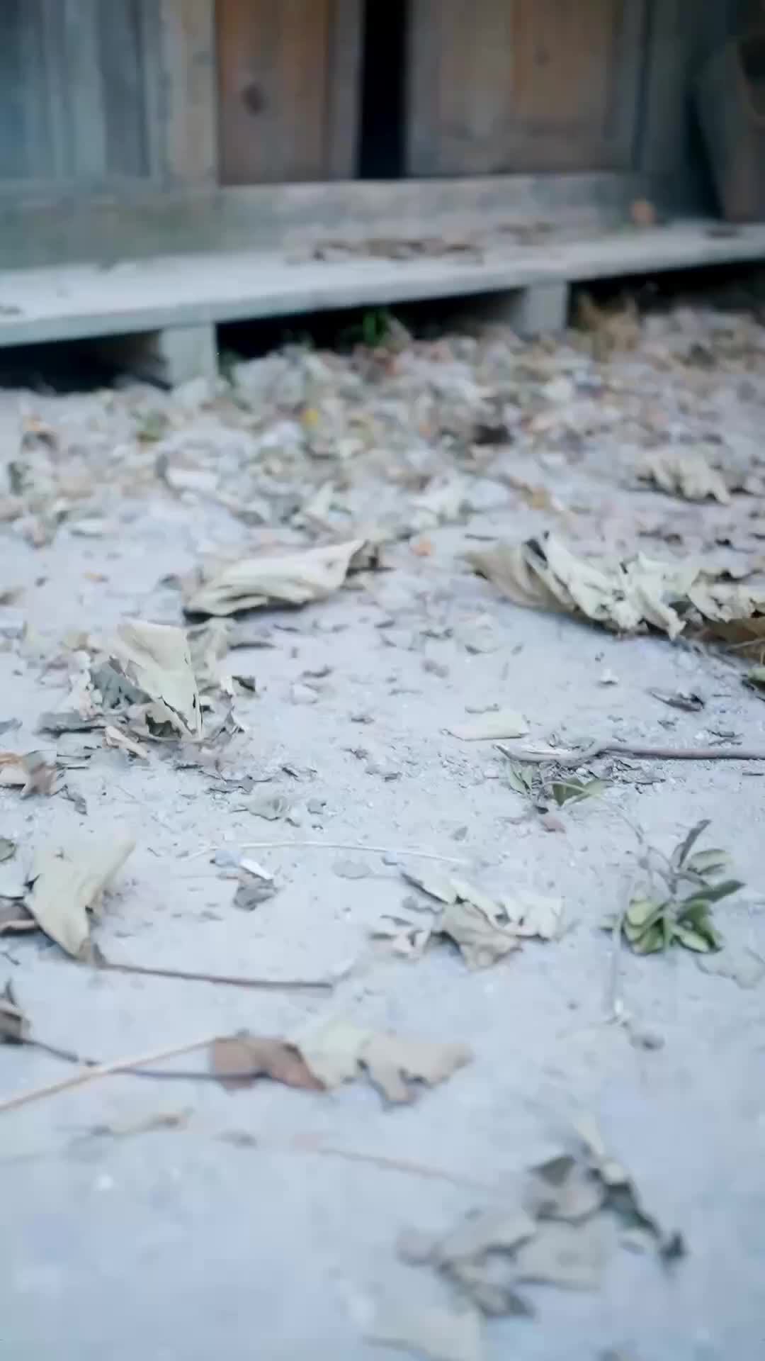 以嬌妻爲甲，叩天子之門 第1集