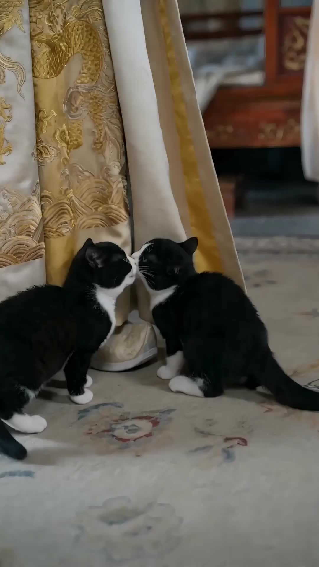 Your Meow-jesty, The Kitten Calls for You Episode 8