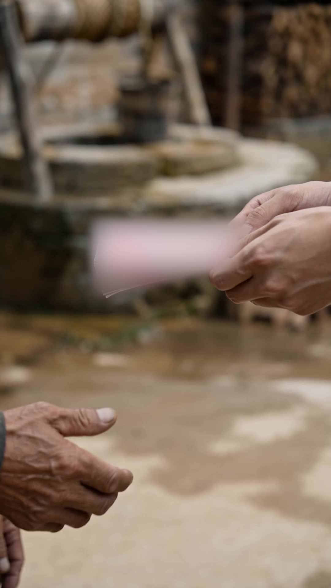 重生赶海,我让老婆孩子住上别墅 第6集